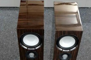 Magnat Quantum 805 – соотношение цены и качества на отлично