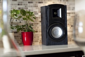 Klipsch Synergy B-20 - краткий обзор компактных колонок