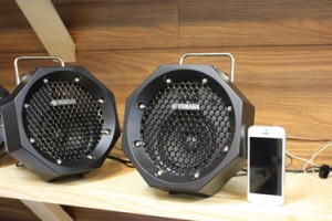 Акустическая система Yamaha RDX-B11