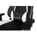 Кресло Akracing Nitro K702A Black White