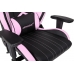 Кресло Akracing Player 601H Black Pink