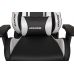 Кресло Akracing Premium V2 K700A Black Silver