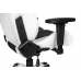 Кресло Akracing Premium V2 K700T Arctica White Black