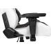Кресло Akracing Premium V2 K700T Arctica White Black