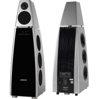 Акустическая система Meridian DSP 8000 Silver