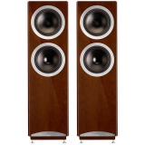 Акустическая система Tannoy Definition DC10T High Gloss Cherry