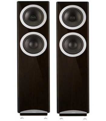 Акустическая система Tannoy Definition DC10T High Gloss Dark Walnut