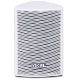 Акустическая система Inkel FS-20T White