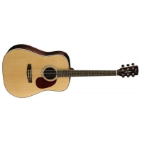 Гитара Cort Earth 100RW Nat