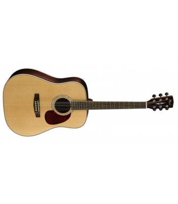 Гитара Cort Earth 100RW Nat