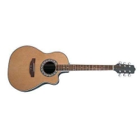 Гитара MAXTONE 4102C