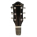 Гитара MAXTONE WGC3902 BK