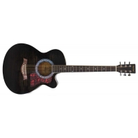 Гитара MAXTONE WGC400N TBK