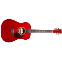 Гитара MAXTONE WGC408N TWR