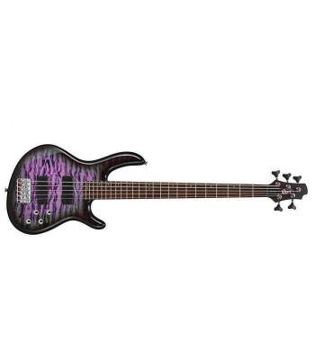 Гитара Cort Action V-DLX PPB