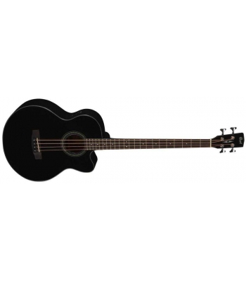 Гитара Cort SJB 5F BK w/bag