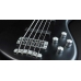 Гитара Warwick Artist Series Robert Trujillio Signature