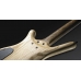 Гитара Warwick Corvette  4 Natural OF
