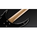 Гитара Warwick RockBass Vampyre 5 Black HP