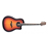 Гитара Parksons EA205 3TS