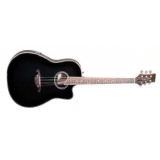 Гитара Parksons EA205 BKS