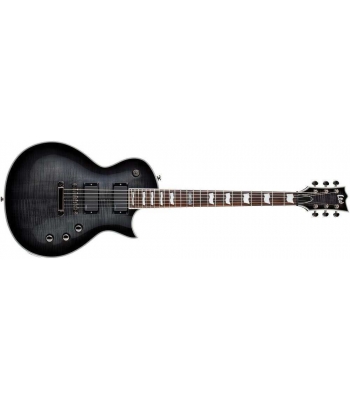 Гитара ESP LTD EC 401FM BlackB