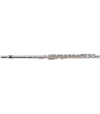 Флейта MAXTONE TFC-60N