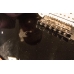 Гитара Yamaha EG112 UP
