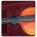 Кейс для смычковых ROCKCASE RC 10010