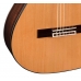 Гитара Admira Virtuoso EC