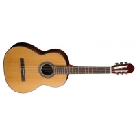Гитара Cort AC250 NAT
