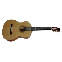 Гитара MAXTONE CGC3902
