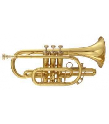 Корнет MAXTONE TCC53L