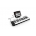 Тонгенератор IK Multimedia iRIG Keys Pro