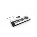 Тонгенератор IK Multimedia iRIG Keys Pro