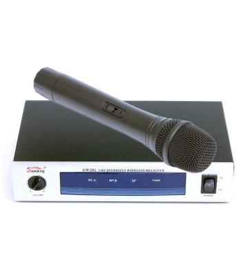 Радиосистема Soundking SKEW 201H