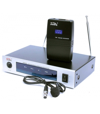Радиосистема Soundking SKEW 201SL