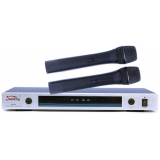Радиосистема Soundking SKEW 202H