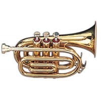 Труба MAXTONE TT MINI 28L