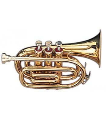 Труба MAXTONE TT MINI 28L