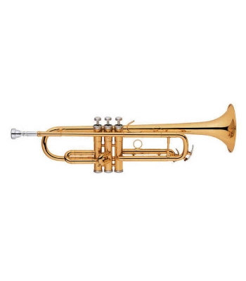 Труба MAXTONE TTC29L