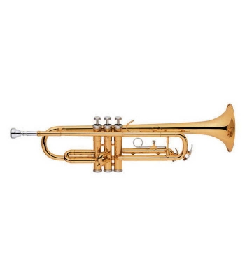 Труба MAXTONE TTC29L2