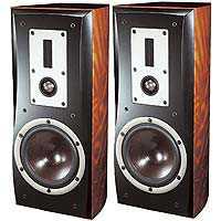 Акустическая система DALI EUPHONIA RS3 Alpi