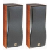 Акустическая система DALI EUPHONIA RS3 Alpi