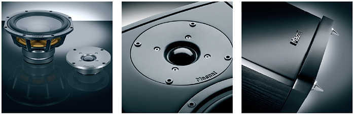 VECTOR_200